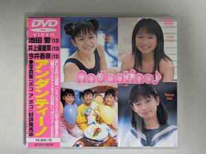 アイドルDVD★アンダンティーノ 池田愛 井上優里菜 今井春奈 正規品 心交社 