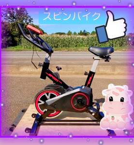  spin bike GEJ-SB303 fitness bike quiet sound each system most light weight class 5kg wheel new goods y