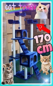  башня для кошки кошка tower широкий 170cm цвет 4 цвет "теплый" белый Brown бежевый темно-синий класть type коготь .. кошка tower y
