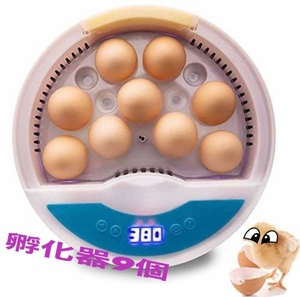 ＬＥＤ自動孵卵器 インキュベーター 検卵ライト内蔵　鳥類専用ふ卵器 孵化器 9個