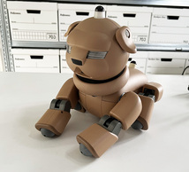 ★SONY AIBO パグ犬 ソニー ERS-31L アイボ オムニボット ロボット レア スペースエイジ_画像8