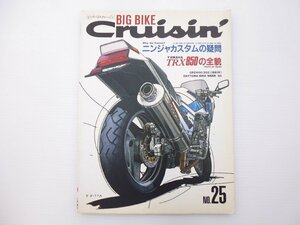 D2L ビッグバイククルージン/NINJAカスタム TRX850 GPZ1100 65