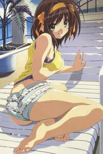  Suzumiya Haruhi no Yuutsu illustration scraps 