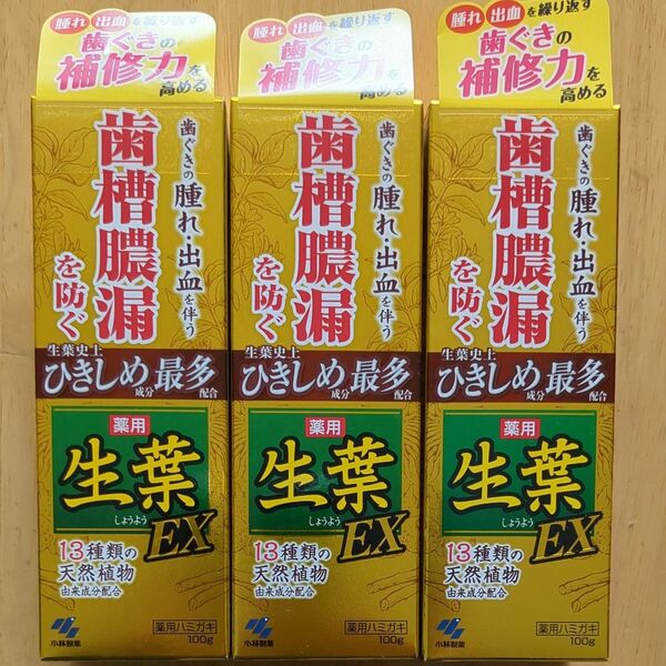 生葉 薬用歯磨き EX 100g　【3個セット】