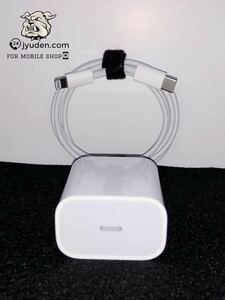 Apple original iPhoneiPad fast charger 20W USB-C AC adaptor Lightning cable set 