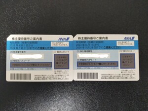 【番号通知】ANA株主優待券　2枚（有効期限：2024年5月31日搭乗分まで） 全日空 ANA