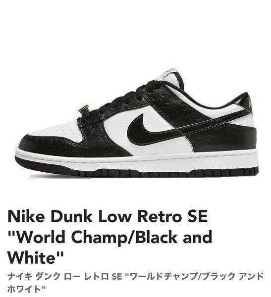 Nike Dunk Low Retro SE "World Champ/Black and White"　28cm ほぼ新品