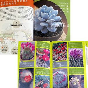  cactus & succulent plant large liking l.. cultivation rearing guide & illustrated reference book kind flower .. change .... arrangement miscellaneous knowledge ....#s