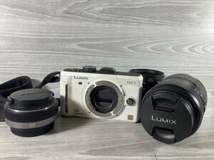 [5-22] Panasonic LUMIX DMC-GF1 H-FS045200 H-H020 デジタルカメラ ホワイト パナソニック ルミックス