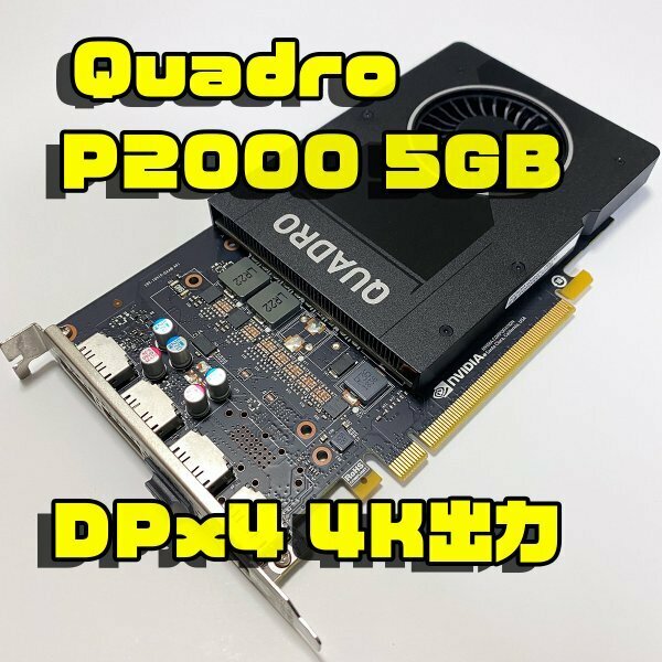 正常品 Quadro P2000 5GB 最大4画面同時出力 DTP 3Dモデリングに 4K出力OK