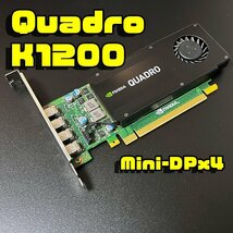 動作確認済 Quadro K1200 4K対応 Mini-DPx4フルプロファイル クリックポストより早い匿名ネコポス配送_画像1