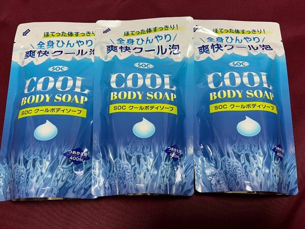 ボディソープ　クール　400ml　詰替用　 ３袋　ほってた体すっきり　爽快クール泡　液体　詰替用　ボディーソープ