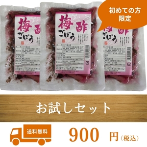 《梅酢ごぼう》梅酢 ごぼう 宮崎県産 漬物 ★初めて購入される方のみ限定★加工食品 グルメ 九州グルメ お試し お試しセット 格安！