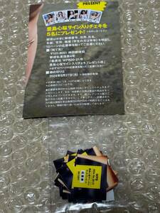 20枚　豊島心桜　週刊プレイボーイ　チェキ応募券