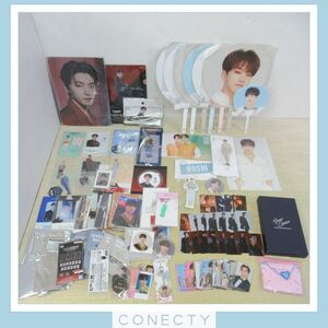 SEVENTEENsebchiHOSHI ho si/DINOtinogs/ "uchiwa" fan / acrylic fiber stand / key holder / photo card etc. [C4[S3