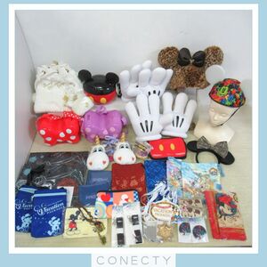  Disney goods set / Popcorn bucket / hat / Katyusha / bag / ticket holder / bandana / gloves etc. [G4[S4