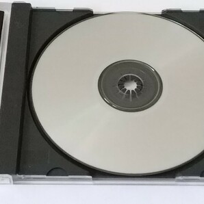 帯、ハガキ付 GROOVE ON FIGHT グルーブオンファイト 豪血寺一族3 セガサターン SATURN アトラス ATLASの画像5