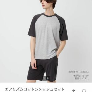 上のみ　エアリズムコットンメッシュ　グレー　Lサイズ　メンズ　 半袖Tシャツ Tシャツ グレー