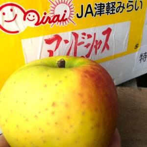 [ capital. fruits shop ] ultimate special selection! Anne bi car s* Aomori prefecture * anyway .. illusion. apple ⑱/4.5