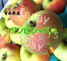 【京の果実屋】極特選！アンビシャス◆青森県産◆とにかく甘い幻のりんご⑱/4.5_画像9