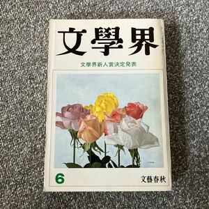 文學界 平成元年6月号 文学界 新人賞 1989 山里禎子 追悼・色川武大（阿佐田哲也） 庄野潤三 大岡玲 多田尋子 村松友 夫馬基彦 荻野アンナ