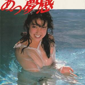 堀江しのぶ写真集 あっ夢感 撮影・渡辺達生 ワニブックス 1986の画像1