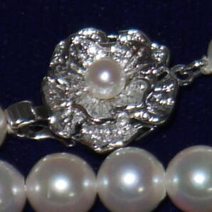 真珠 パールネックレス 留め具 SILVER 刻印あり ホワイト系 レディース アクセサリーの画像3
