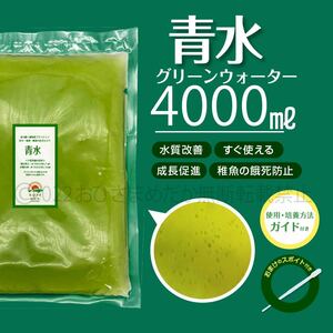 【青水　グリーンウォーター　4000ml】メダカ　めだか　稚魚　クロレラ　ミジンコ　ゾウリムシ　PSB　針子メダカ卵針子にどうぞ　スポイト