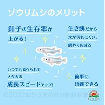 送料無料【ゾウリムシ　種水　1000ml】めだか　メダカ　針子 稚魚　餌　psb　 金魚　青水　PSB　クロレラ　針子メダカ卵ミドリムシ に_画像3