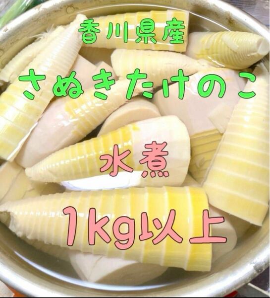 《セール!! 数量限定》香川県 たけのこ 水煮 約1kg 筍 真空パック タケノコ 無農薬栽培 