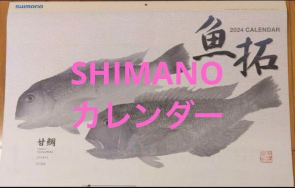 値下げ! 2024 SHIMANOカレンダー 魚拓 シマノ カレンダー 壁掛