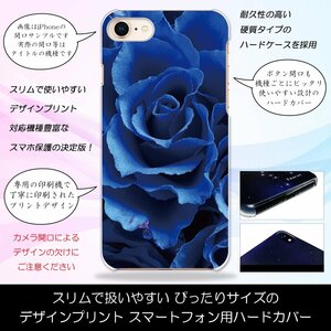DM-01K Disney Mobile DM-01K ハードケース ブルーローズ 青いバラ 薔薇 花柄 フラワー Blue Rose スマホケース スマホカバー