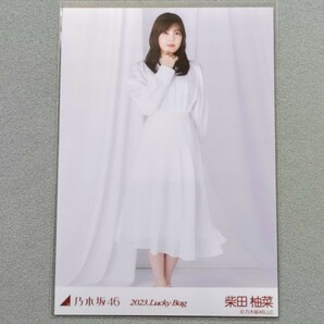 乃木坂46 柴田柚菜 2023 Lucky Bag 生写真 2の画像1