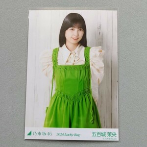 乃木坂46 五百城茉央 2024 Lucky Bag 生写真