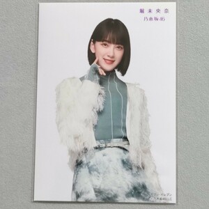 乃木坂46 堀未央奈 セブンイレブン 生写真 9