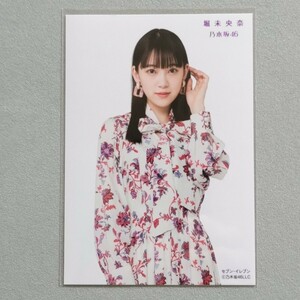 乃木坂46 堀未央奈 セブンイレブン 生写真 11