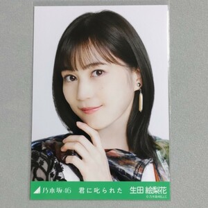 乃木坂46 生田絵梨花 君に叱られた 生写真 1