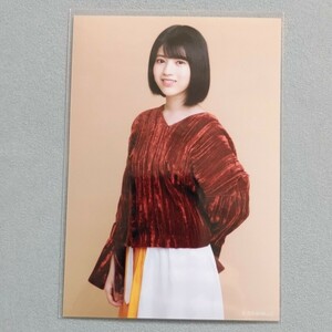 Art hand Auction 노기자카46 하야시 루나 2021년 복주머니 사과 아이템 비매품 사진, 나행, ~의, 노기자카46