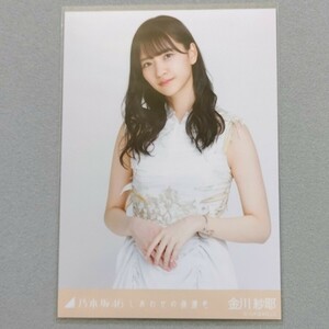 乃木坂46 金川紗耶 しあわせの保護色 生写真 2