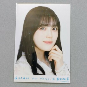 乃木坂46 柴田柚菜 2022 March Ⅱ レア 生写真