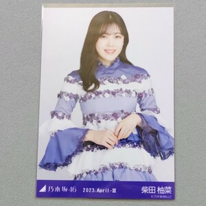 乃木坂46 柴田柚菜 2023 April Ⅲ 生写真 1