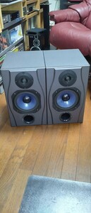  Spirit Abusolute2 2way Speaker ２ウェイスピ−カ−