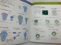 ▼1　【まとめて15冊 はじめての立体刺しゅう 1,4~31号 Hachette アシェット 2020から21年】107-02404_画像10