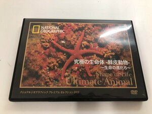 ★　【DVD ナショナル ジオグラフィック プレミアムセレクション 究極の生命体 棘皮動物 生命の進…】140-02405