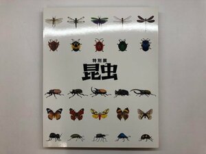 ★　【図録 特別展 昆虫 国立科学博物館 2018年】176-02405