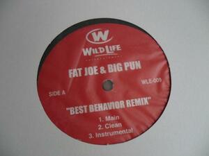 輸入LP:Fat Joe & Big Pun/A-Bless/Best Be havior Remix/My Life's On The Edge 新品未使用