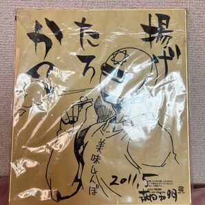 天体戦士サンレッド 直筆サイン色紙 サイン色紙 直筆サイン色紙 直筆サイン