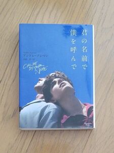 文庫『君の名前で僕を呼んで』