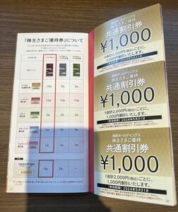 西武ホールディングス 株主優待 10枚（10000円分）