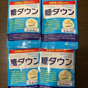 糖ダウン 30日分 30カプセル×4袋